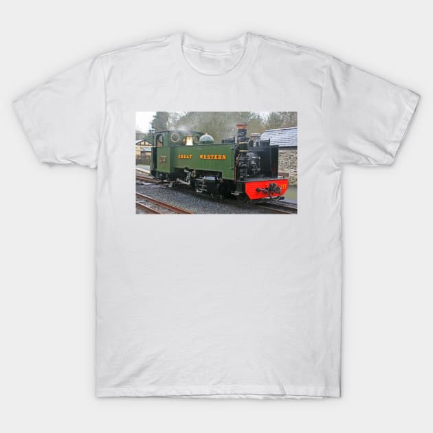 Locomotive #1213 - Vale of Rheidol Railway, February 2020 T-Shirt by RedHillDigital